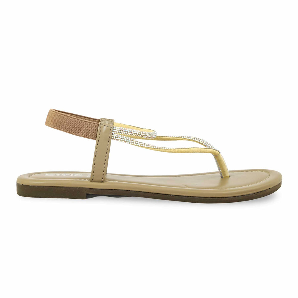 Brown Casual Chappal CL1981