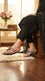Black Fancy Slipper For Ladies FN8257