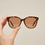 Brown Ladies Sunglasses G40006