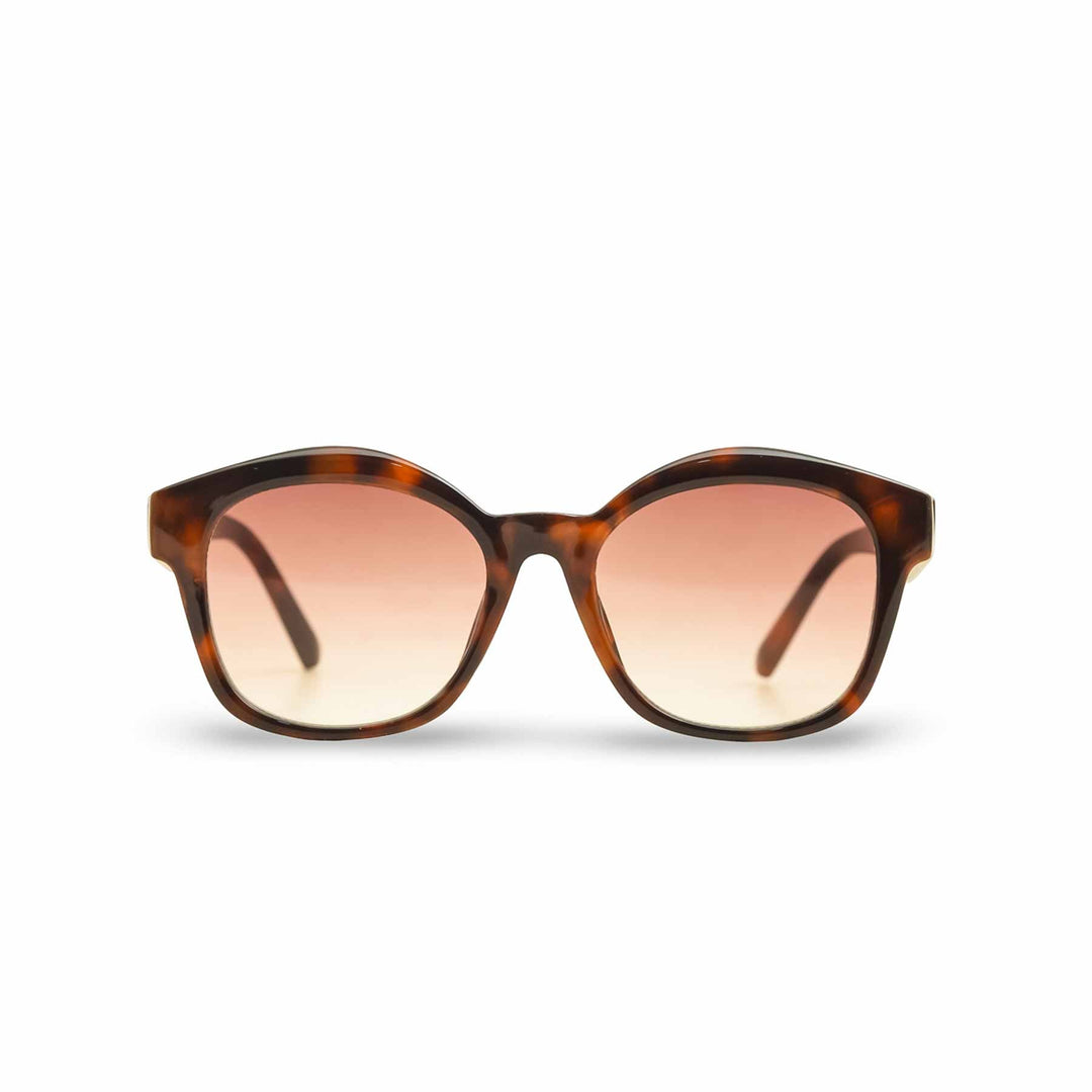 Brown Ladies Sunglasses G40009