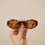 Brown Ladies Sunglasses G40021