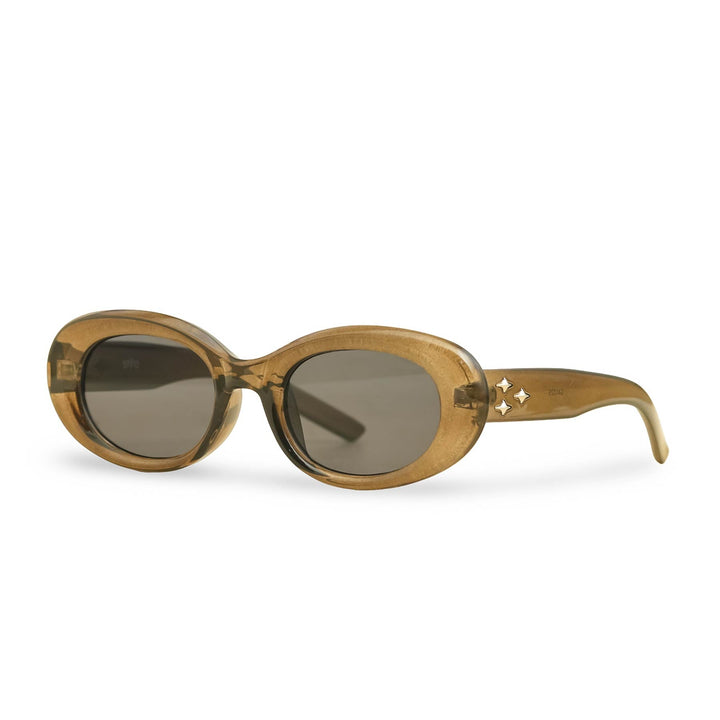 Brown Ladies Sunglasses G40029