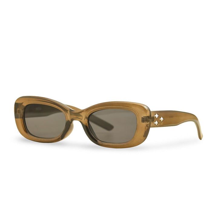 Brown Ladies Sunglasses G40030