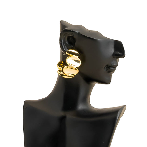 Earrings- J0602515
