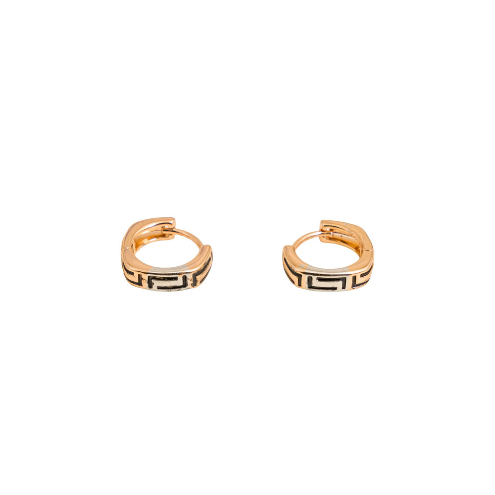 Earrings- J0608474