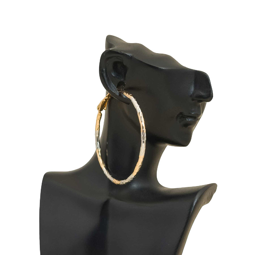 Earrings- J0610174