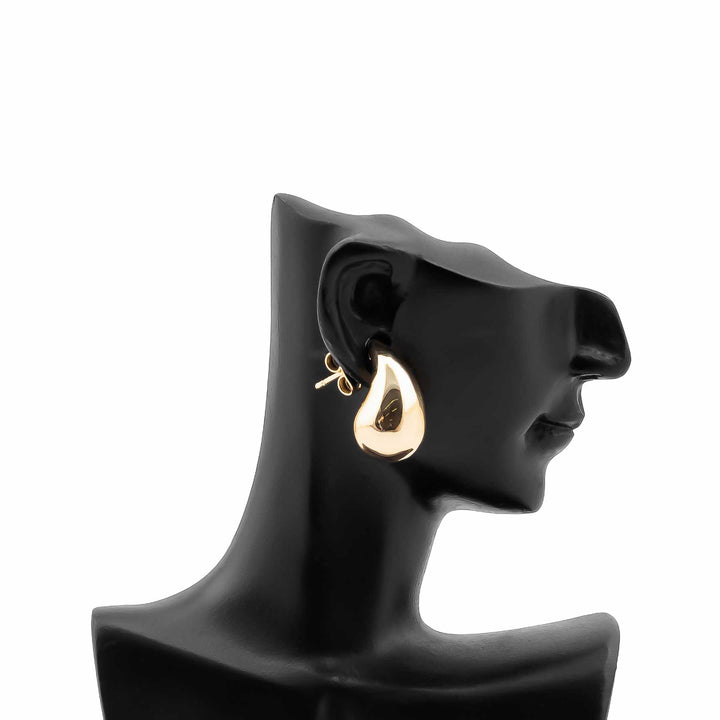 Earrings- J0614315