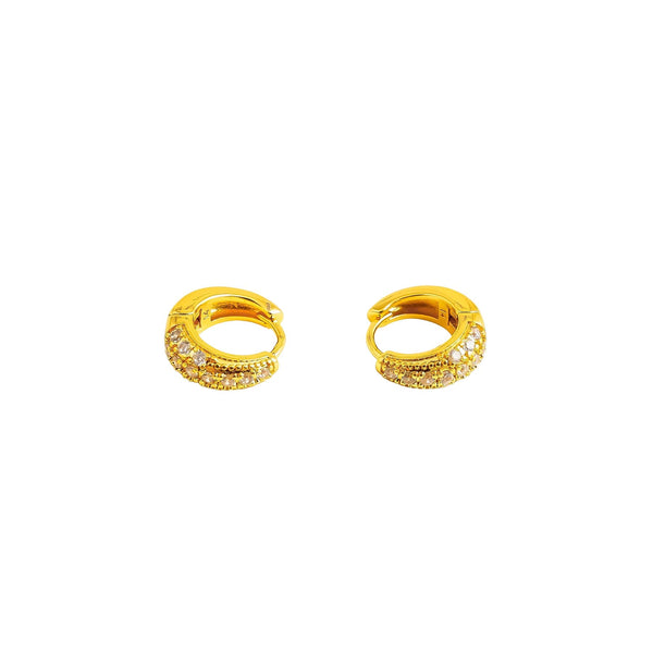Earrings- J0618015