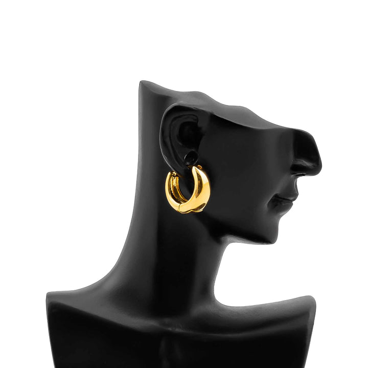 Earrings- J0620515