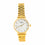 Golden Ladies Watch J33914