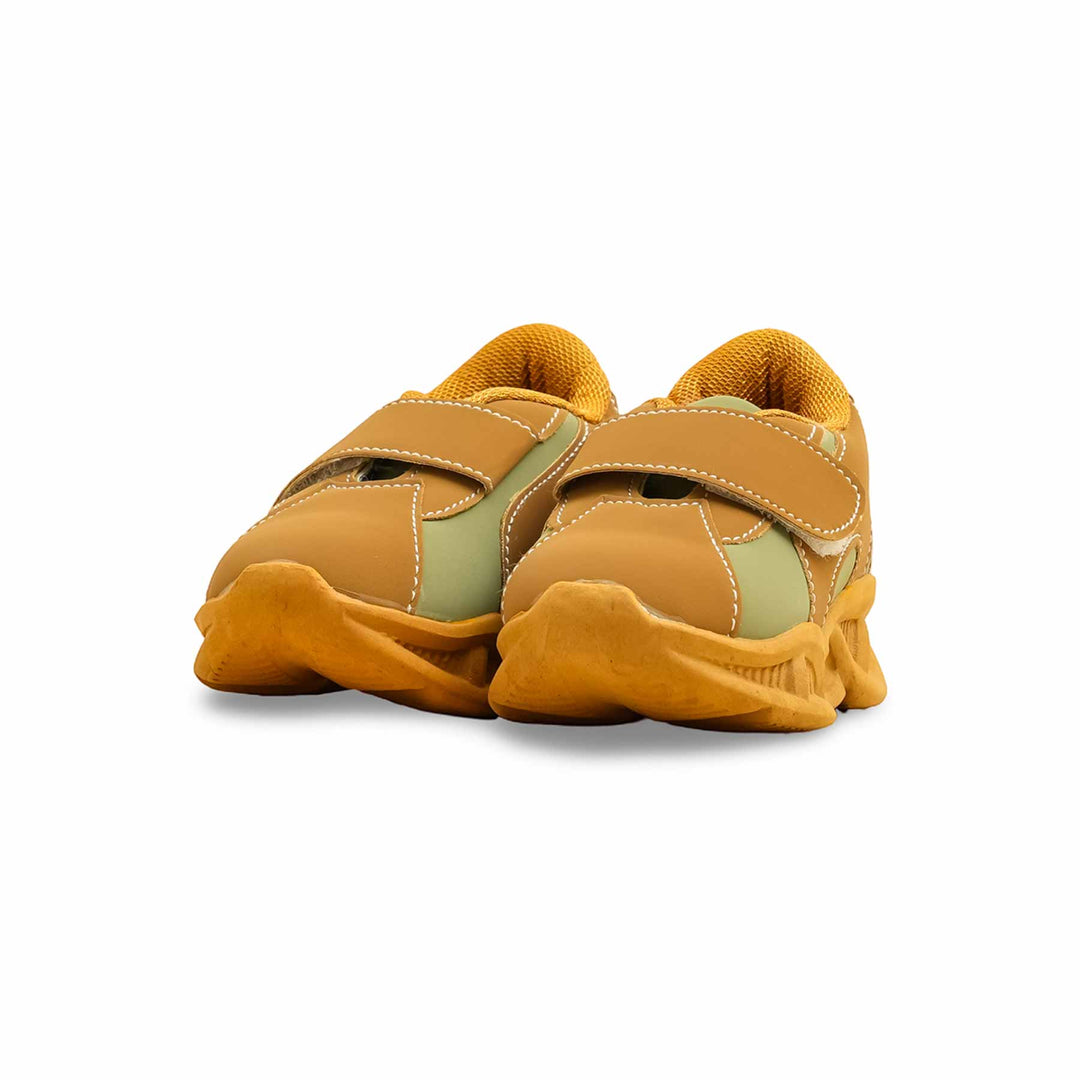 Babies Brown Casual Booties KD1959