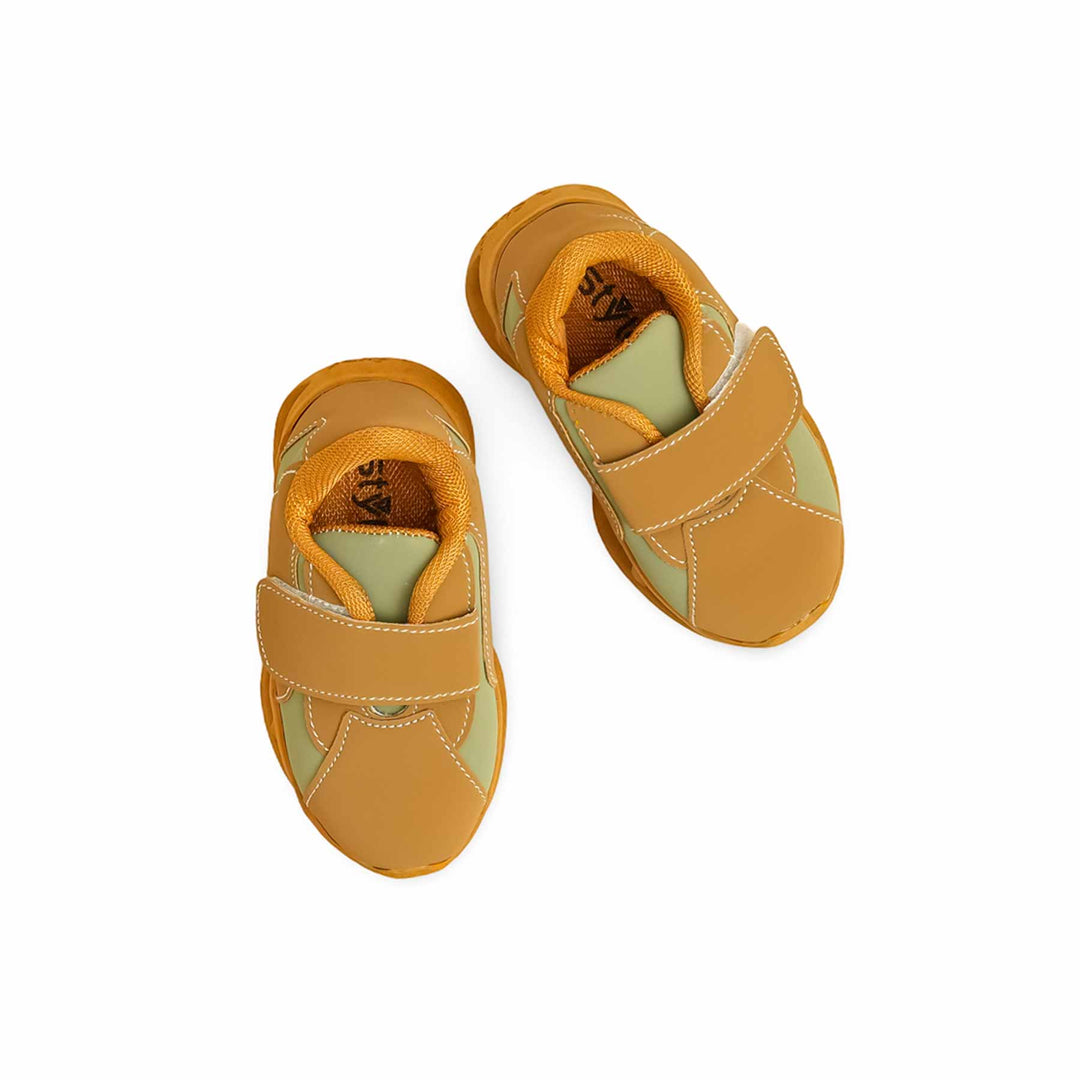 Babies Brown Casual Booties KD1959