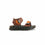 Boys Brown Casual Sandal KD4726