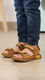 Boys Brown Casual Sandal KD4900