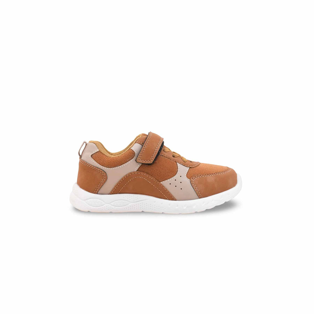 Boys Brown Casual Jogger KD8153