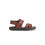 Boys Coffee Formal Sandal KD9961