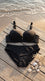 Black Padded Bra Set For Women LB2085
