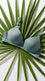 Green Cotton Padded Bra For Women LB5002