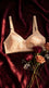 Skin Basic Cotton Bra For Women LB5045