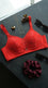 Red Padded Bra For Women LB5441