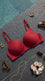Maroon T Shirt Bra For Women LB5462