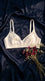 Multy Padded Bra For Women LB5486