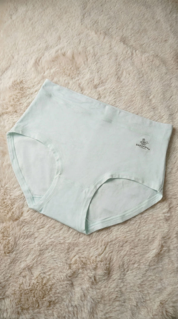 Multy Full Brief Pantie For Women LP5015