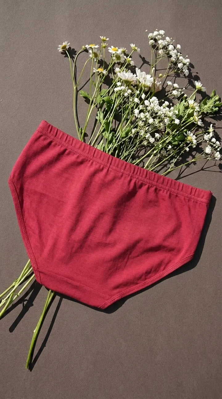 Maroon Brief Pantie For Women LP5346