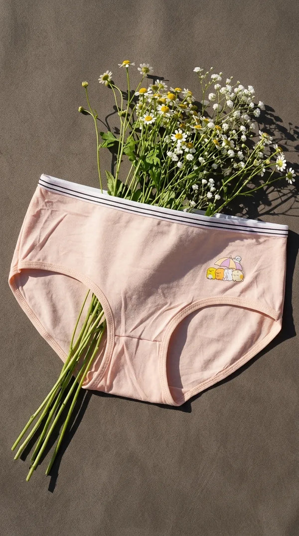 Multy Brief Pantie For Women LP5348