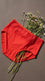 Multy Brief Pantie For Women LP5350