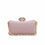 Champagne Fancy Clutch P15364