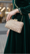 ChamPagne Fancy Clutch P24189