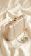 Silver Fancy Clutch For Ladies P24559