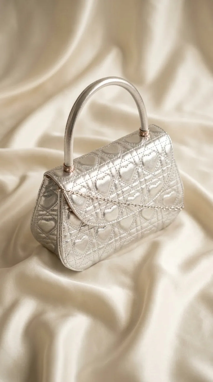 Silver Casual Pouch For Ladies P36723
