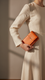 Brown Casual Pouch For Women P97620