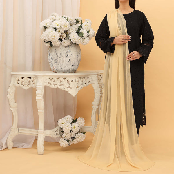 Beige Plain Chiffon Dupatta PD5379
