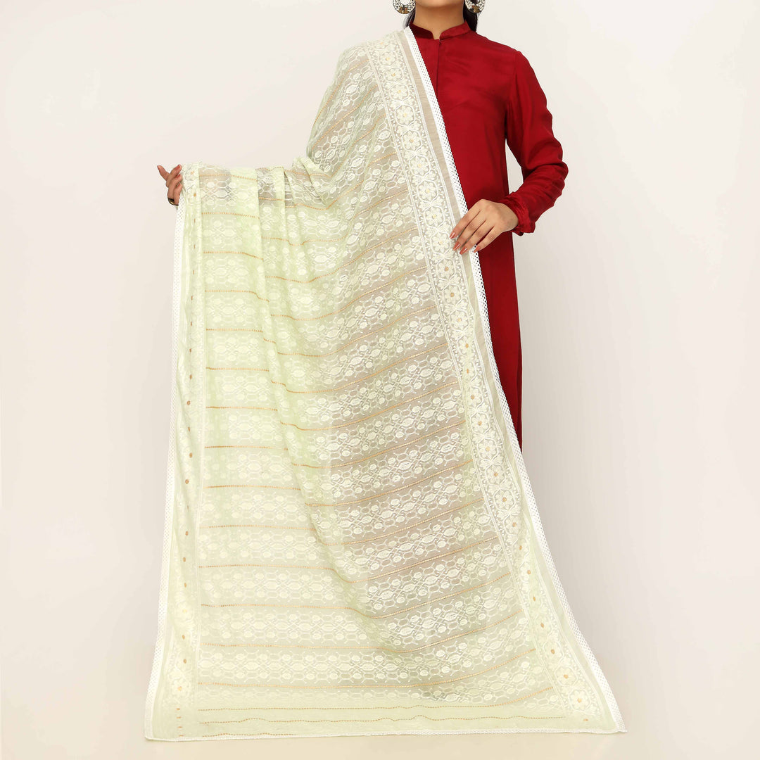 Pista Embroidered Dupatta PD5465
