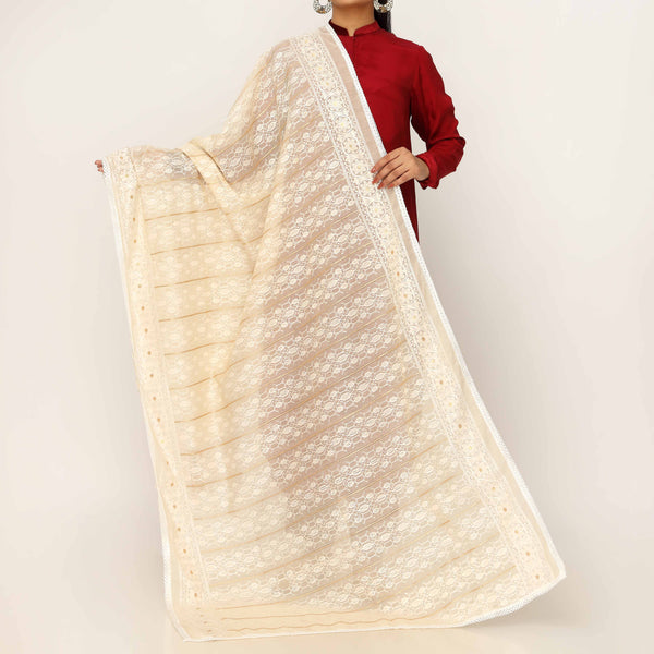 Beige Embroidered Dupatta PD5466