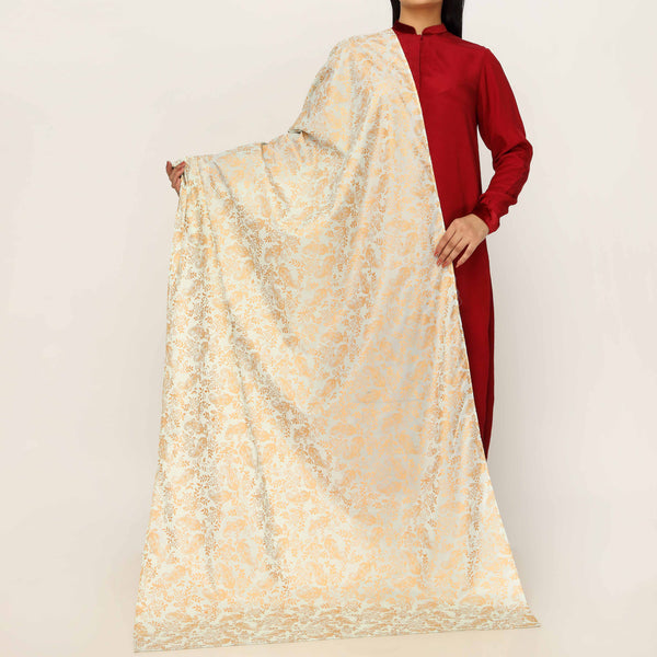 Blue Plain Chiffon Dupatta PD5507