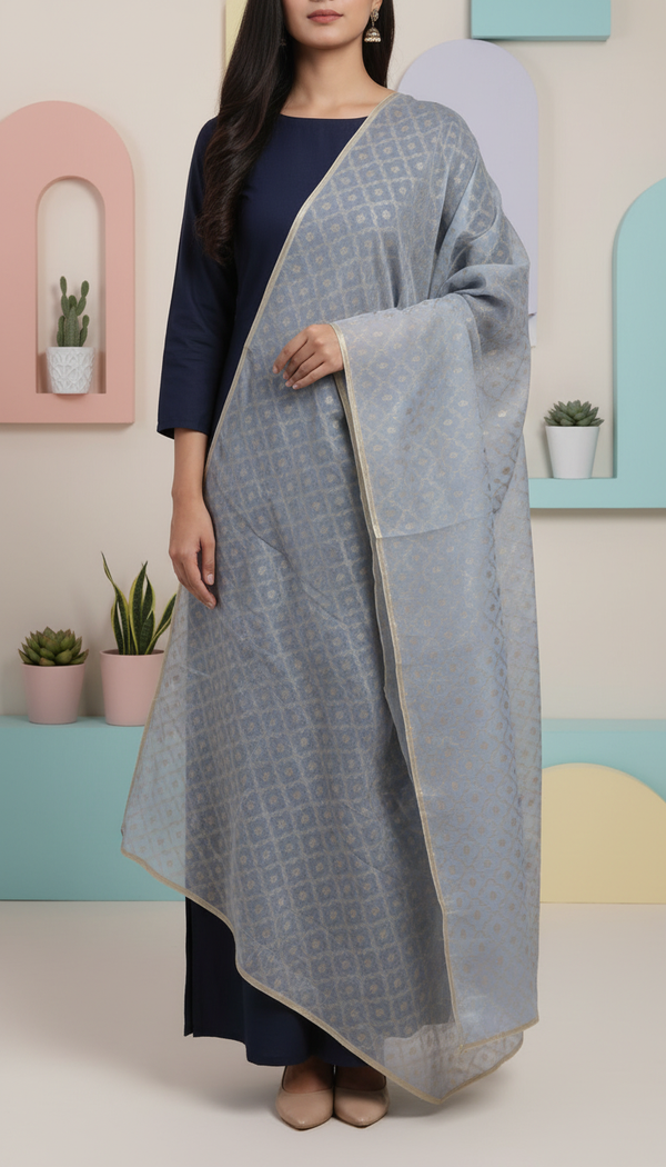 Blue Screen Printed Chiffon Dupatta PD6021