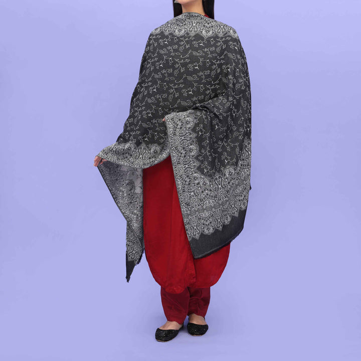 Shop Latest Design Stoles and Scarves for Women Pakistan – Stylo