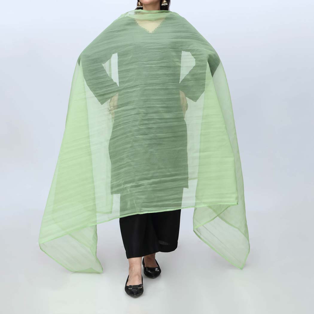 Green Plain Organza Dupatta PS4702