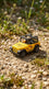 Dinky For Kids T7005220