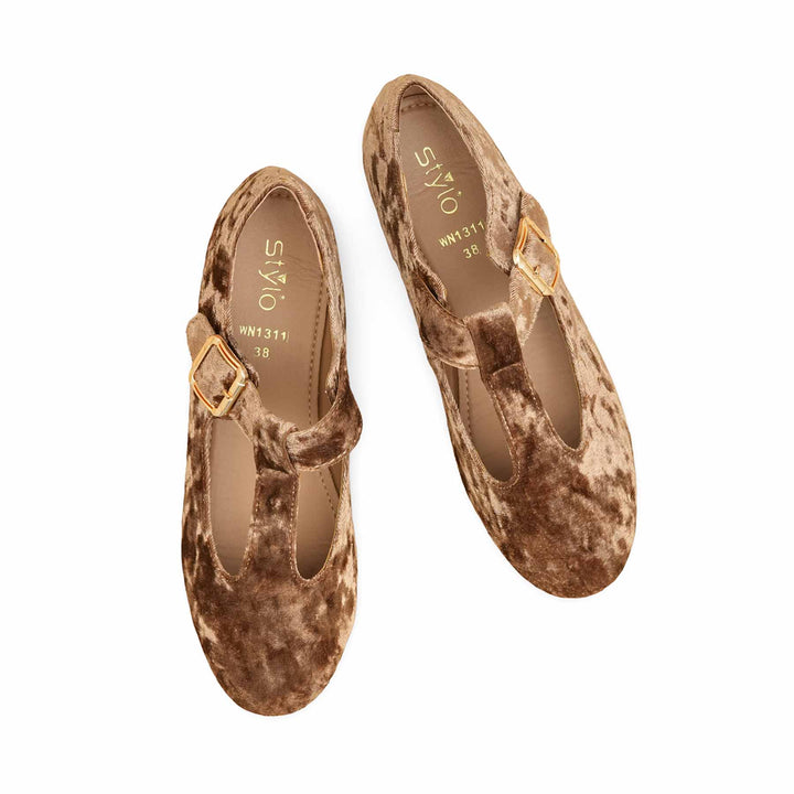 Brown Pumps For Women WN1311