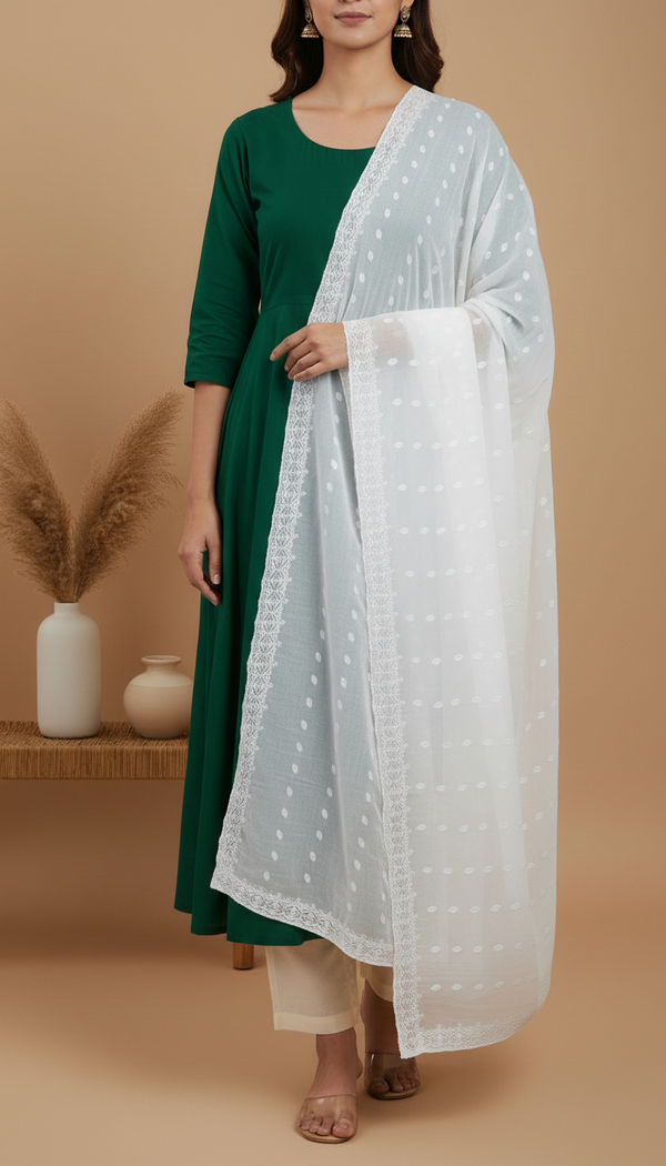 White Embellished Chiffon Dupatta PD6076