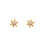 Earrings- J0579315