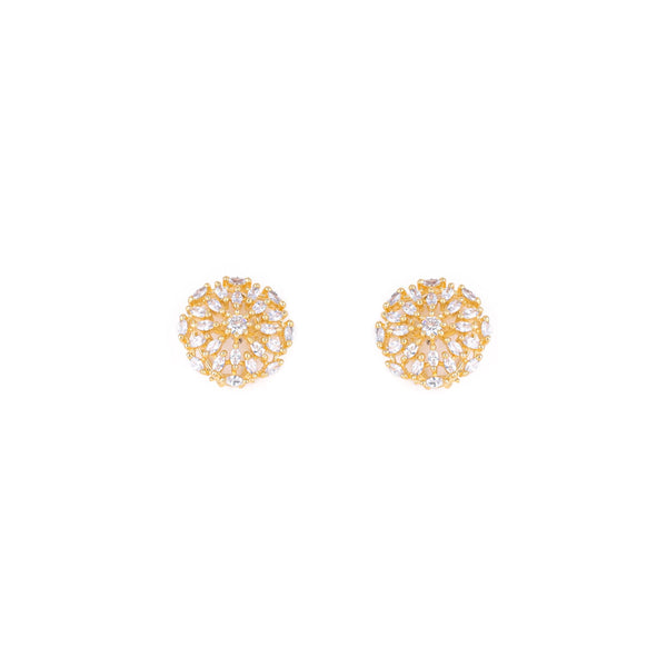 Earrings-K2709315