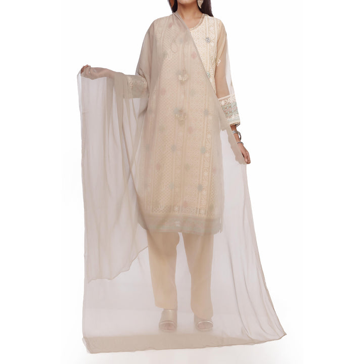 Grey Plain Dyed Chiffon Dupatta PS2702