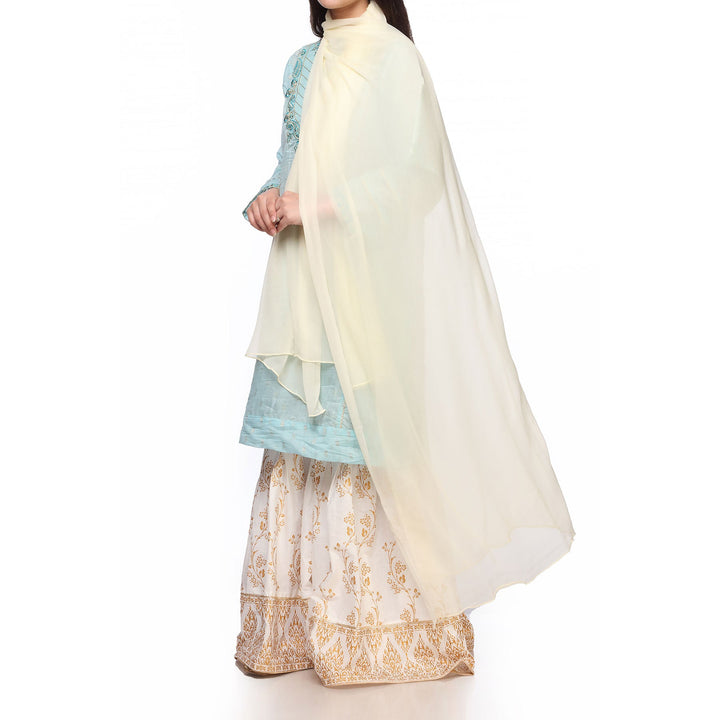 Cream Color Plain Dyed Chiffon Dupatta PS270208