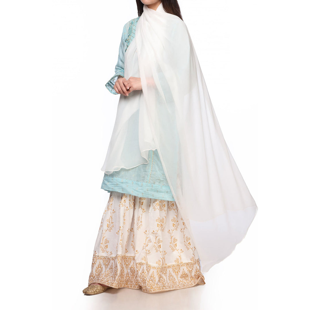 White Color Plain Dyed Chiffon Dupatta PS270209